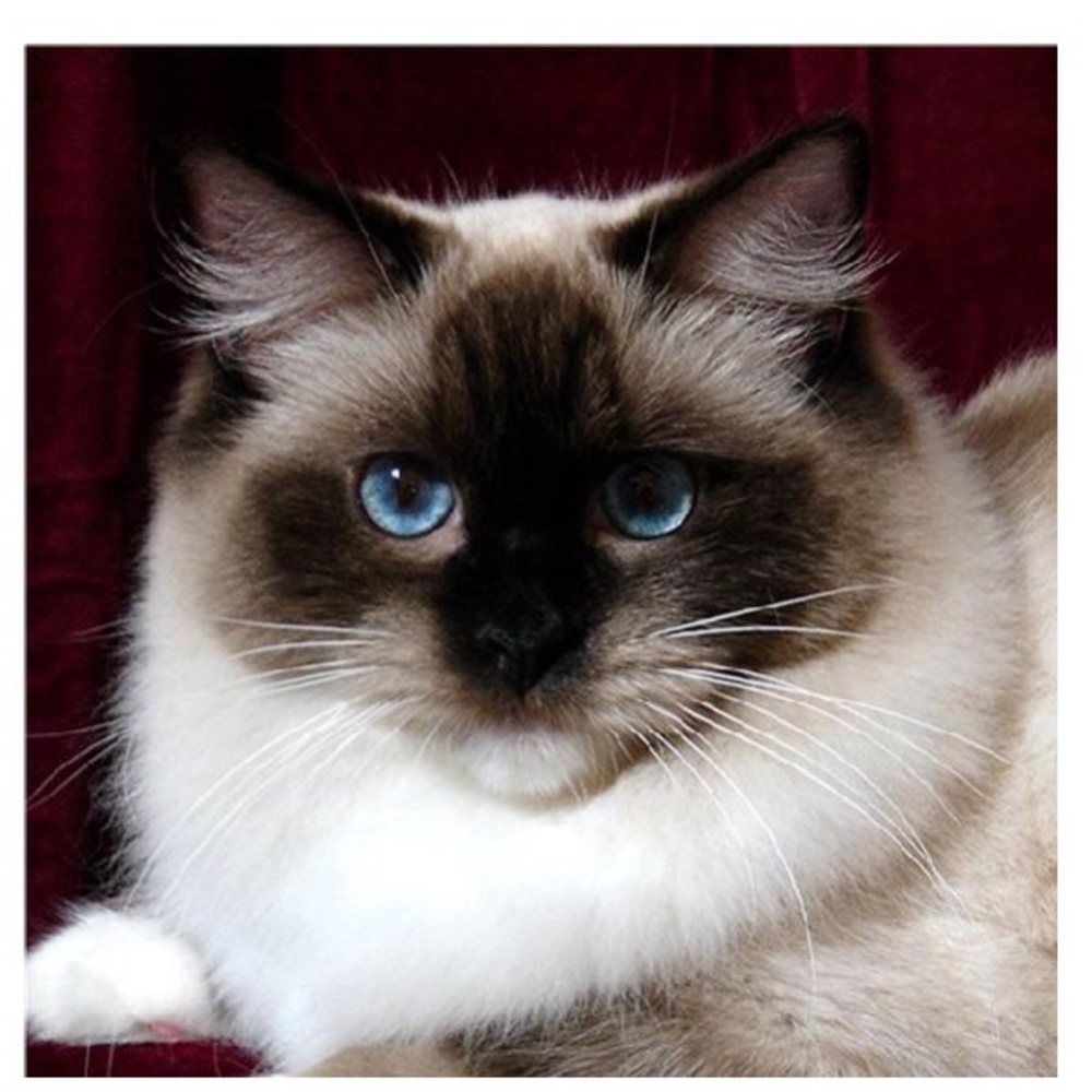 Meet your Posher, Sandy